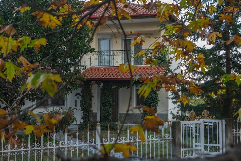 Woods Cottage Loutra Pozar Aridaia Megaplatanos Ngoại thất bức ảnh